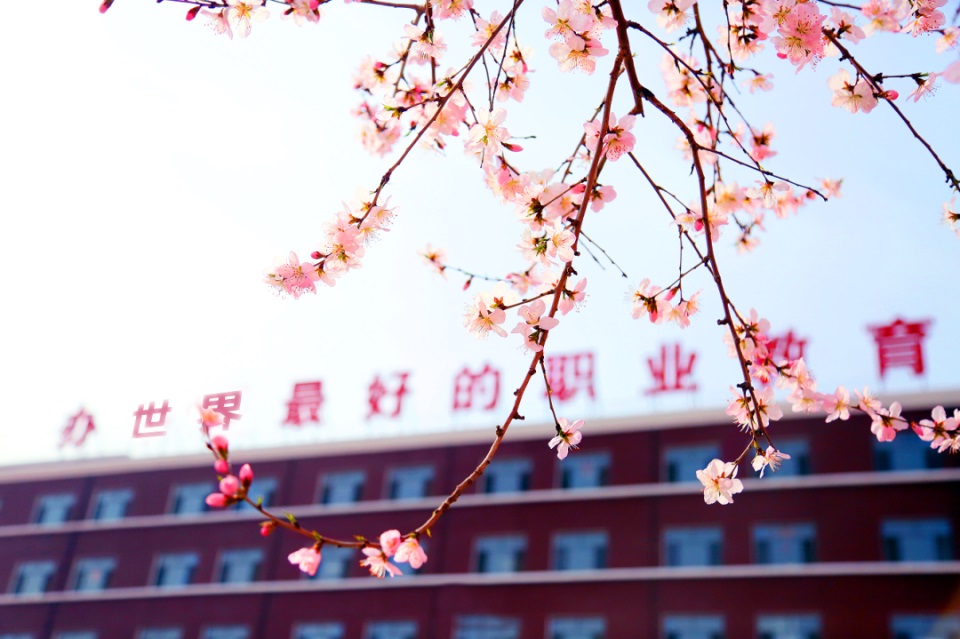 继续当学徒还是选择上职校？3个角度帮你分析